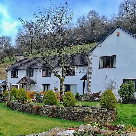 Neuadd Wen Guest House Carmarthen Buitenkant foto