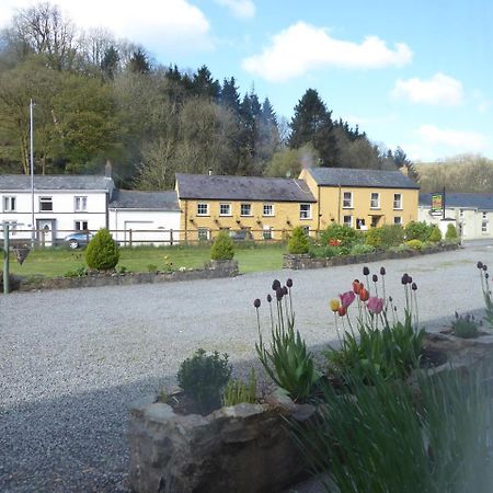 Neuadd Wen Guest House Carmarthen Buitenkant foto