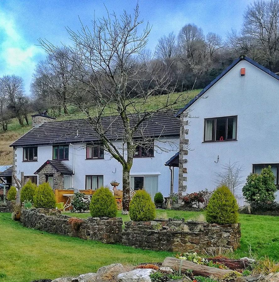 Neuadd Wen Guest House Carmarthen Buitenkant foto