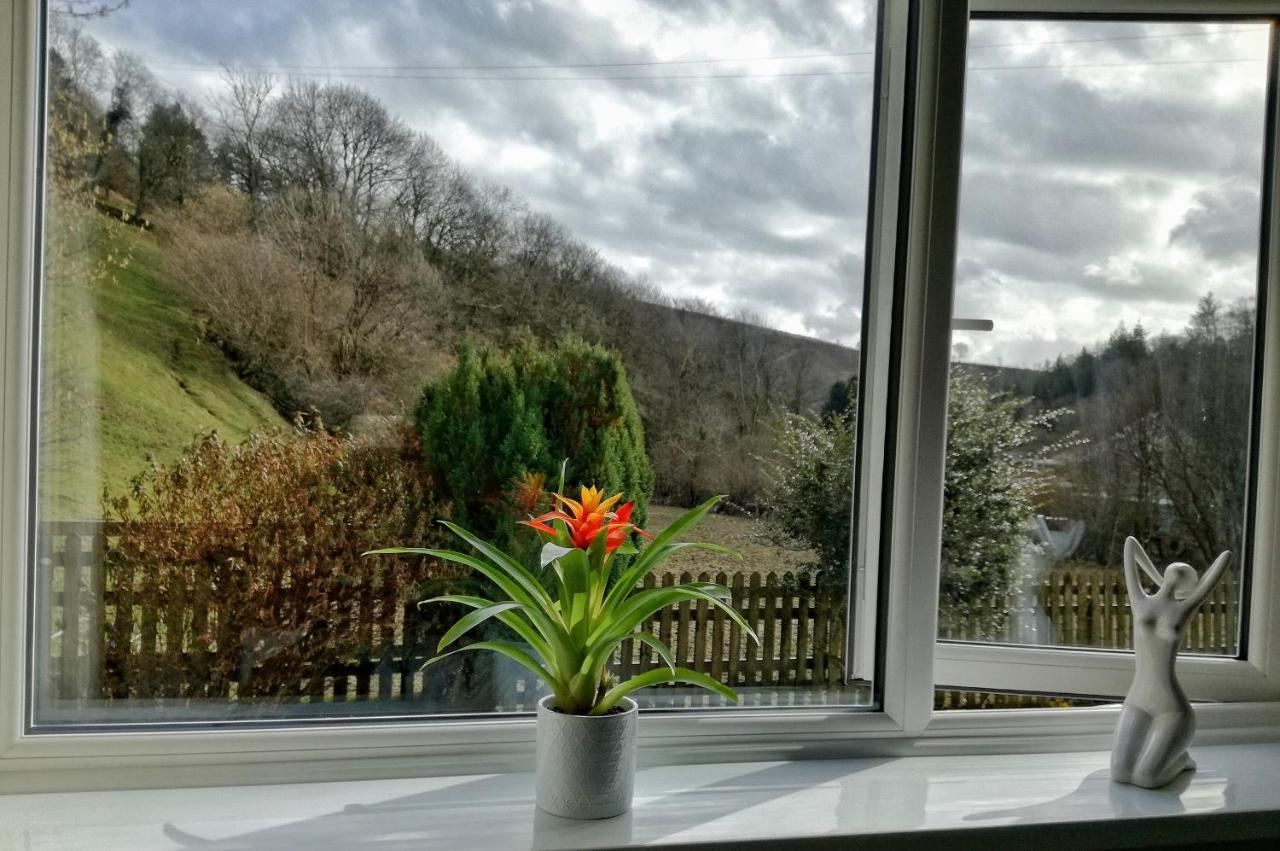 Neuadd Wen Guest House Carmarthen Buitenkant foto